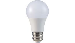 AMPOULE LED 220V E27 9W BLANC FROID 6400K