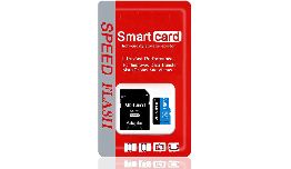 CARTE MEMOIRE MICRO SD 256GB CLASSE10 + ADAPTATEUR