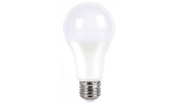 AMPOULE LED 12V E27 12W BLANC FROID